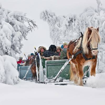 Horse sleigh rifde on cross country skiing holiday in Norway (1 of 1)-2.jpg
